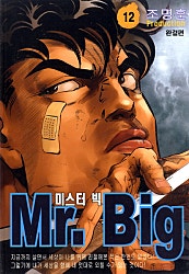 미스터빅