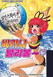 비키니 발리볼