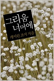 그리움 너머에 [단행본]