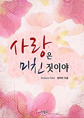 사랑은 미친 짓이야 [단행본]