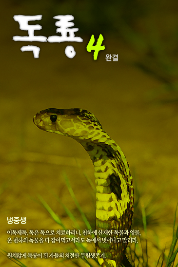 독룡 [단행본]
