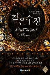 검은 수정(넘버 편)