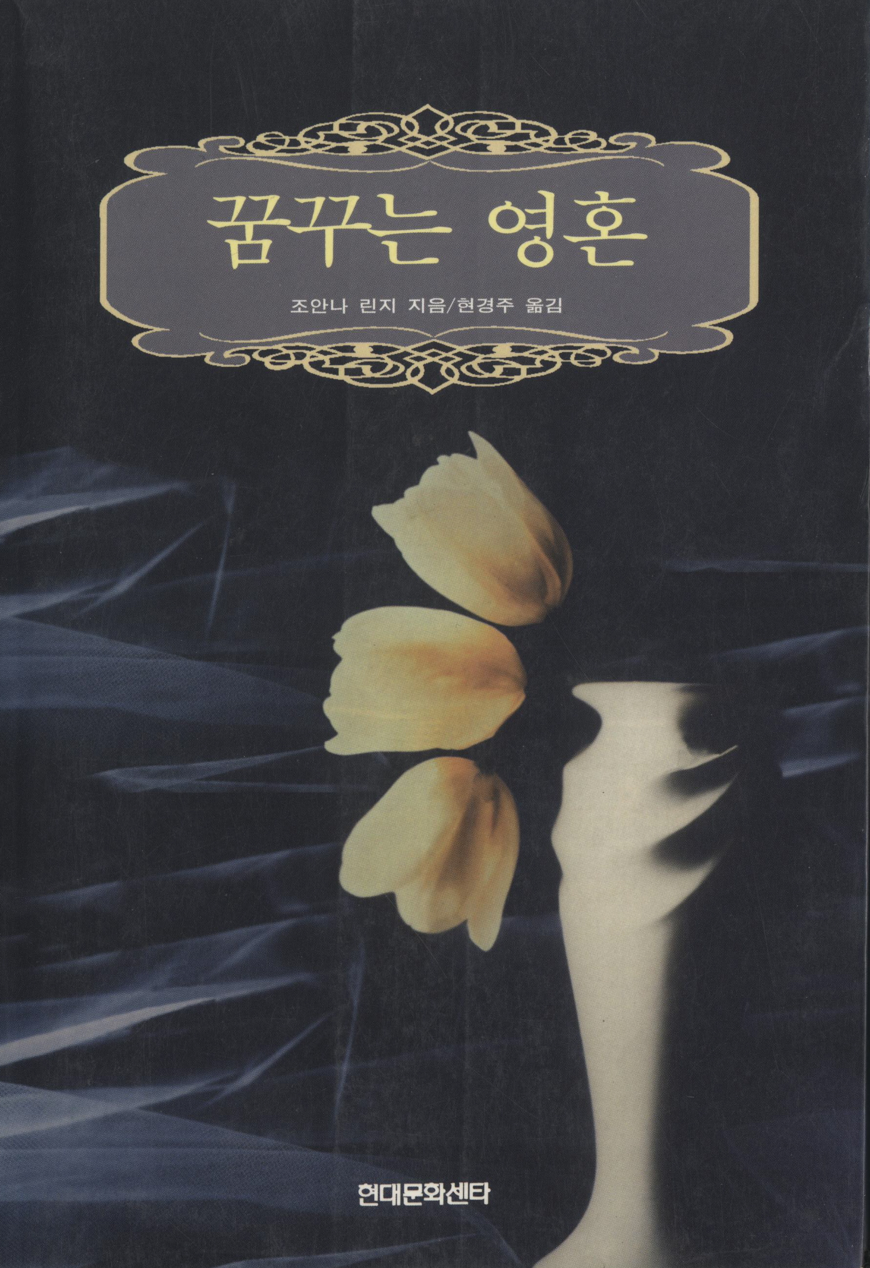 꿈꾸는 영혼 [단행본]