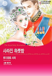 사라진 하룻밤 [할리퀸]