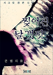 찢어진 날개짓