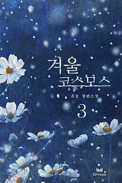 겨울 코스모스