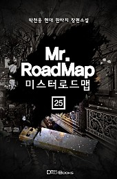 미스터 로드맵 [단행본]