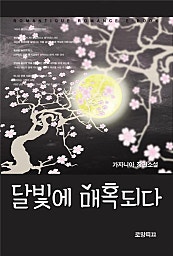 달빛에 매혹되다