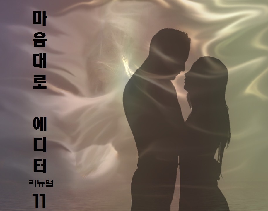 마음대로 에디터 리뉴얼 [단행본]