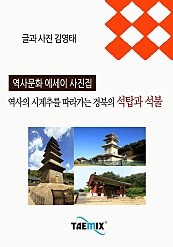 역사의 시계추를 따라가는 경북의 석탑과 석불 [역사문화 에세이 사진집]