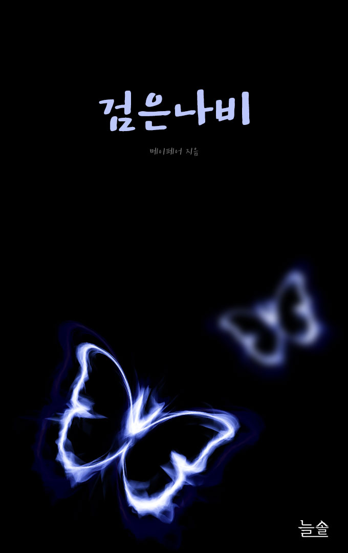 검은 나비 [단행본]