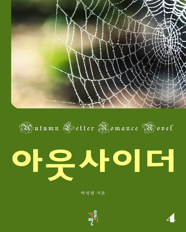 아웃사이더 [단행본]
