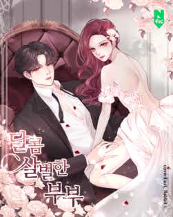 달콤 살벌한 부부 표지