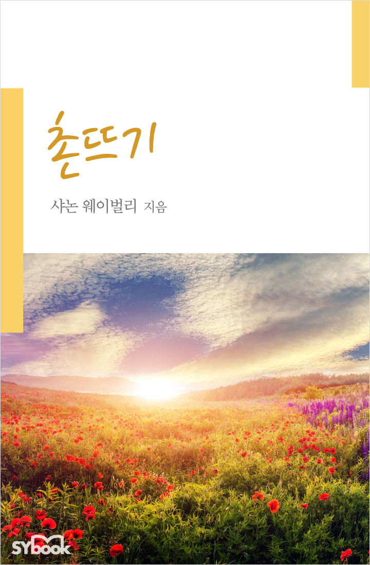 샤논 웨이벌리