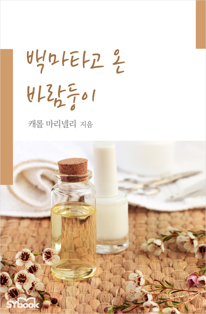 백마 타고 온 바람둥이 [단행본]