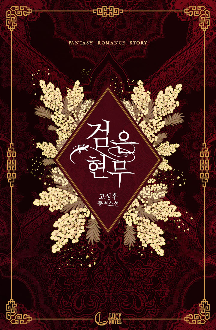 검은 현무 [단행본]