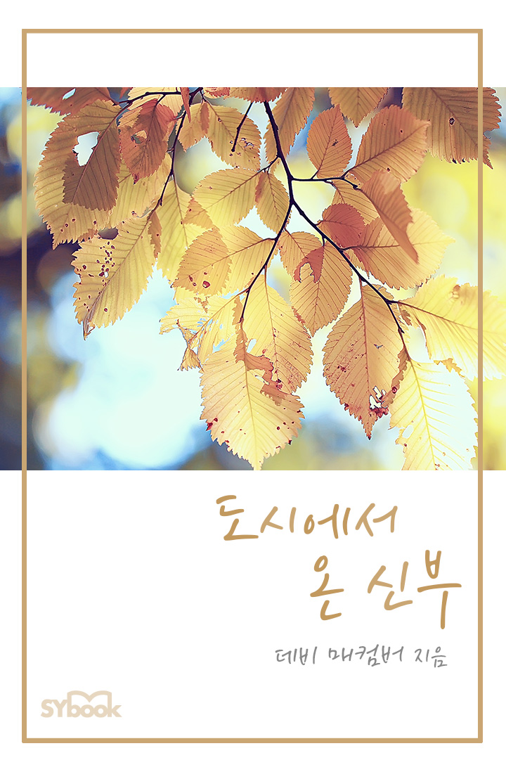 도시에서 온 신부 [단행본]