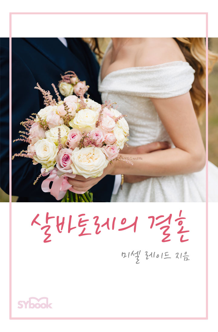 미셀 레이드