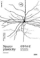 신경가소성 (일생에 걸쳐 변하는 뇌와 신경계의 능력)