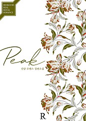 피크 (Peak)