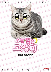 오늘 밤은 고양이