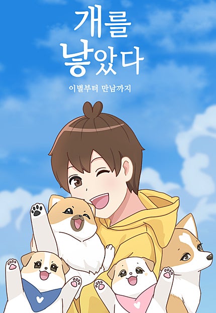 개를 낳았다