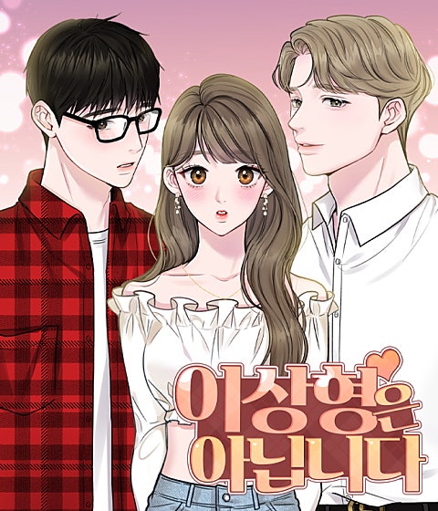 이상형은 아닙니다