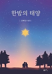 한밤의 태양 (김혜정 소설집)