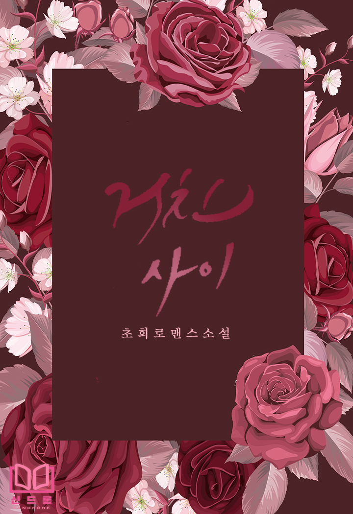 거친 사이 [단행본]