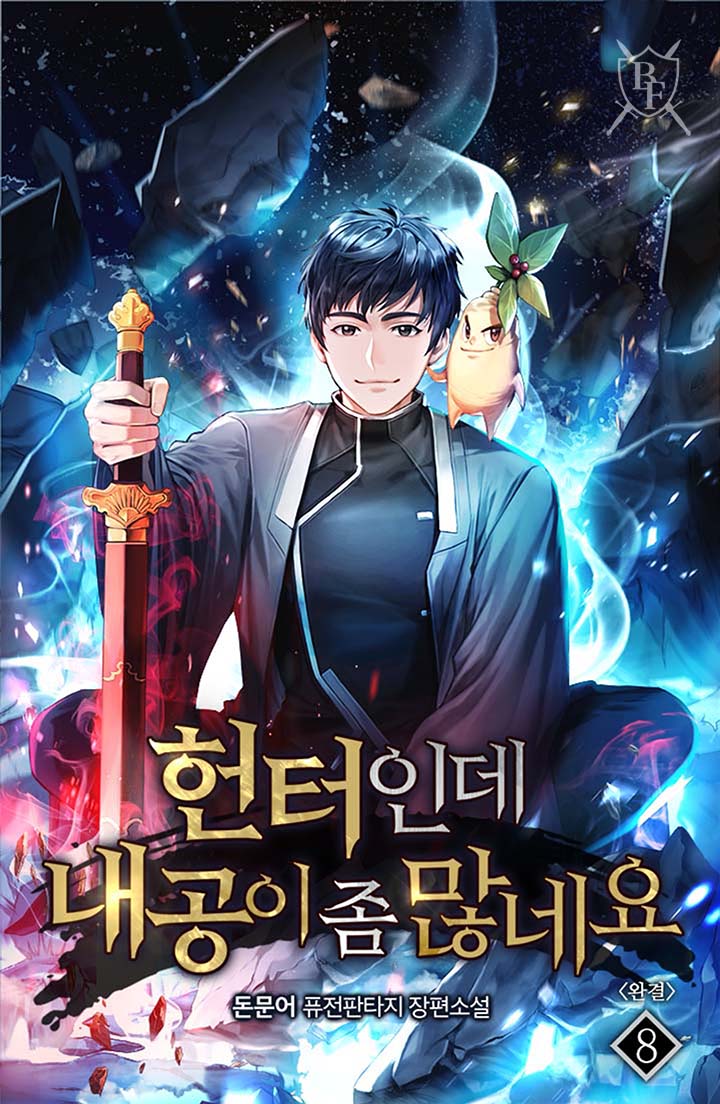 헌터인데 내공이 좀 많네요 [단행본]