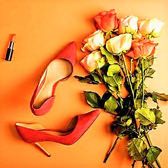 사모님의 불륜스캔들