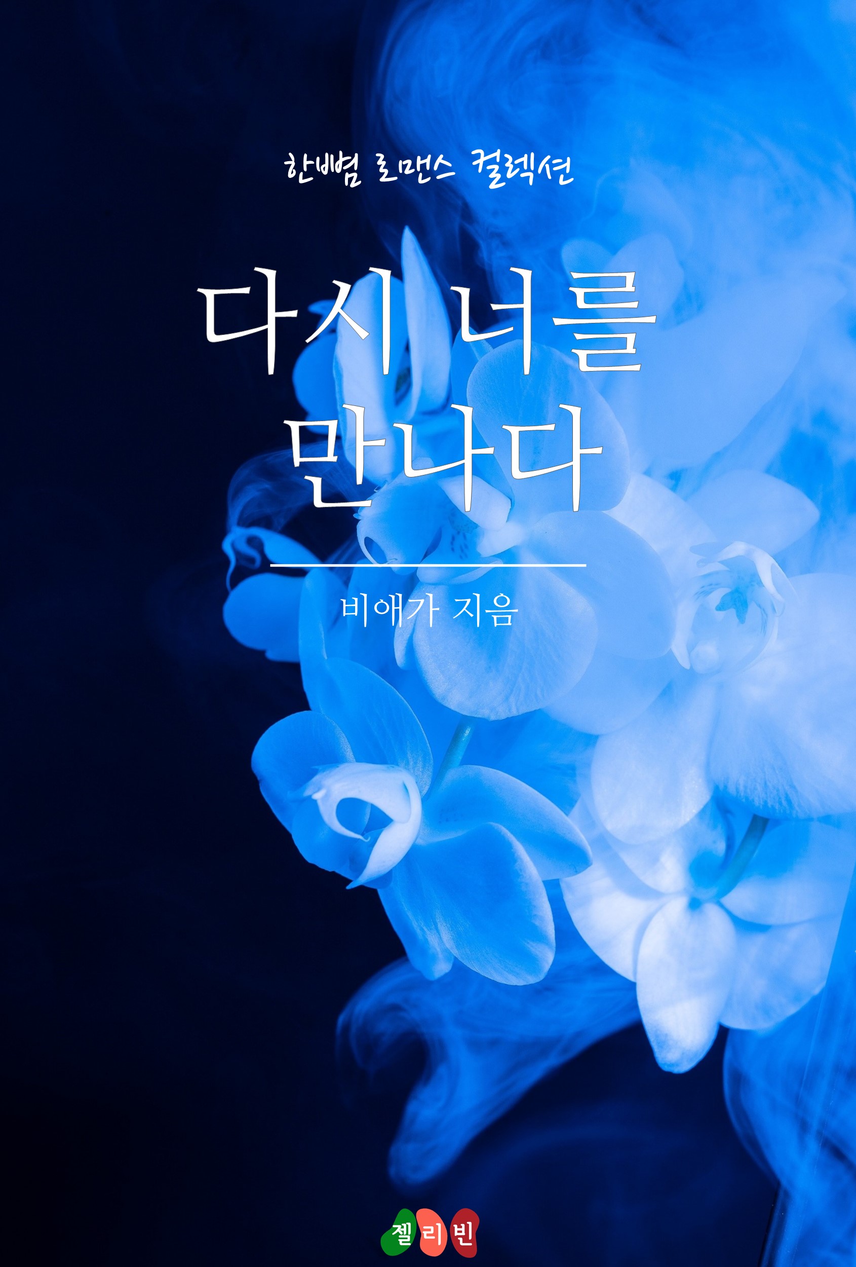 다시 너를 만나다 [단행본]