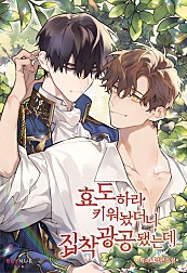 효도하라 키워놨더니 집착광공 됐는데 [BL]
