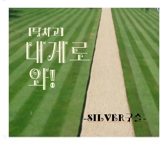silver구슬