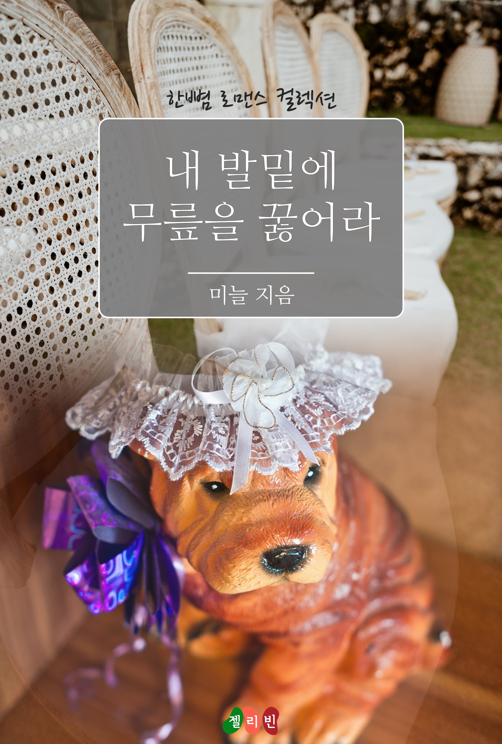 내 발밑에 무릎을 꿇어라 [단행본]
