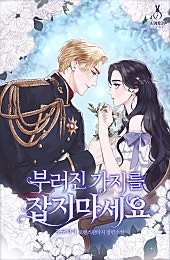 부러진 가지를 잡지 마세요 [외전][단행본]