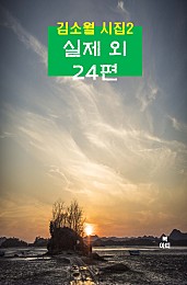 실제 외 24편 (김소월 시집 2)