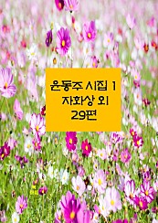 자화상 외 29편 (윤동주 시집 1)