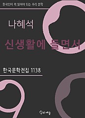 나혜석 - 신생활에 들면서