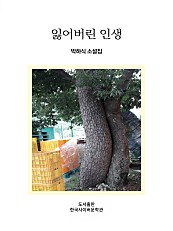 잃어버린 인생 (접근성 도서)