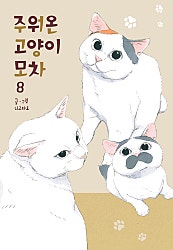 주워온 고양이 모차