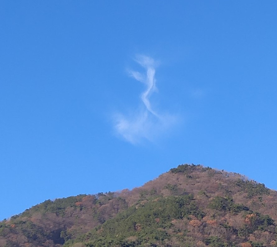 내 몸속의 장-사, 배-신