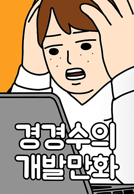 경경수의 개발만화