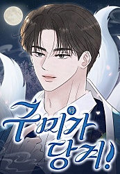 구미가 당겨!