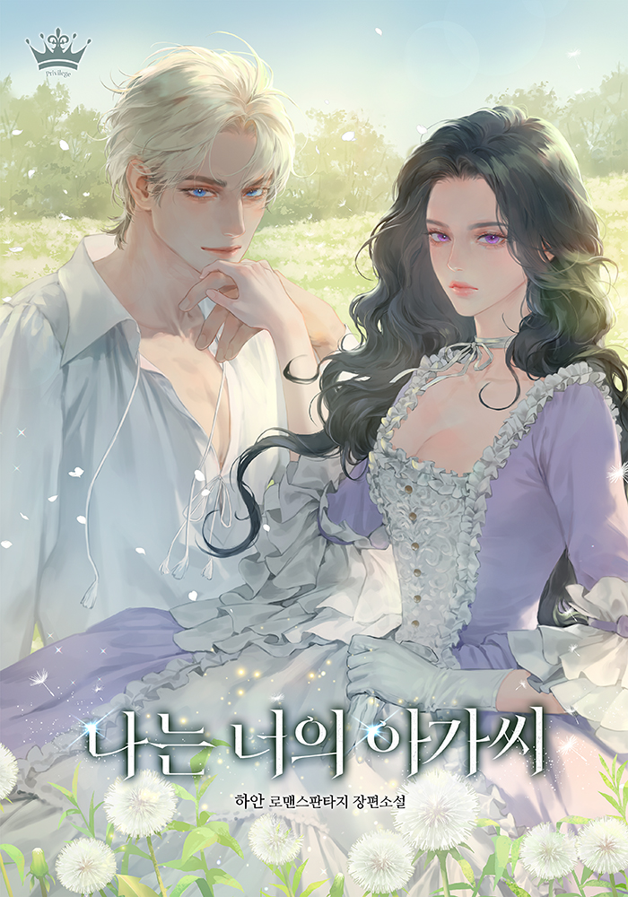 나는 너의 아가씨 표지