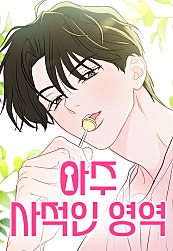 아주 사적인 영역