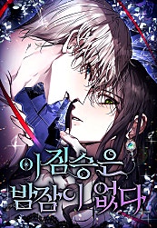 이 짐승은 밤잠이 없다